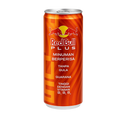 RedBull Plus Guaraná SS